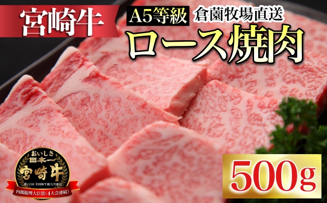 【C166・百名店の味をご自宅で！】A5等級宮崎牛ロース焼肉用　500g