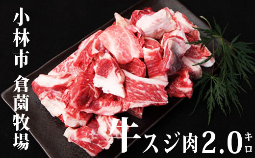 【SBF016・黒毛和牛専門店直送】宮崎牛濃厚スジ肉 約2.0kg