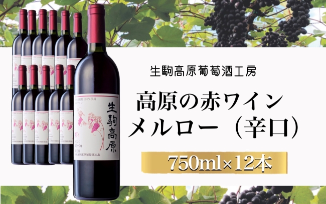 【高原の赤ワイン】メルロー　1ダース