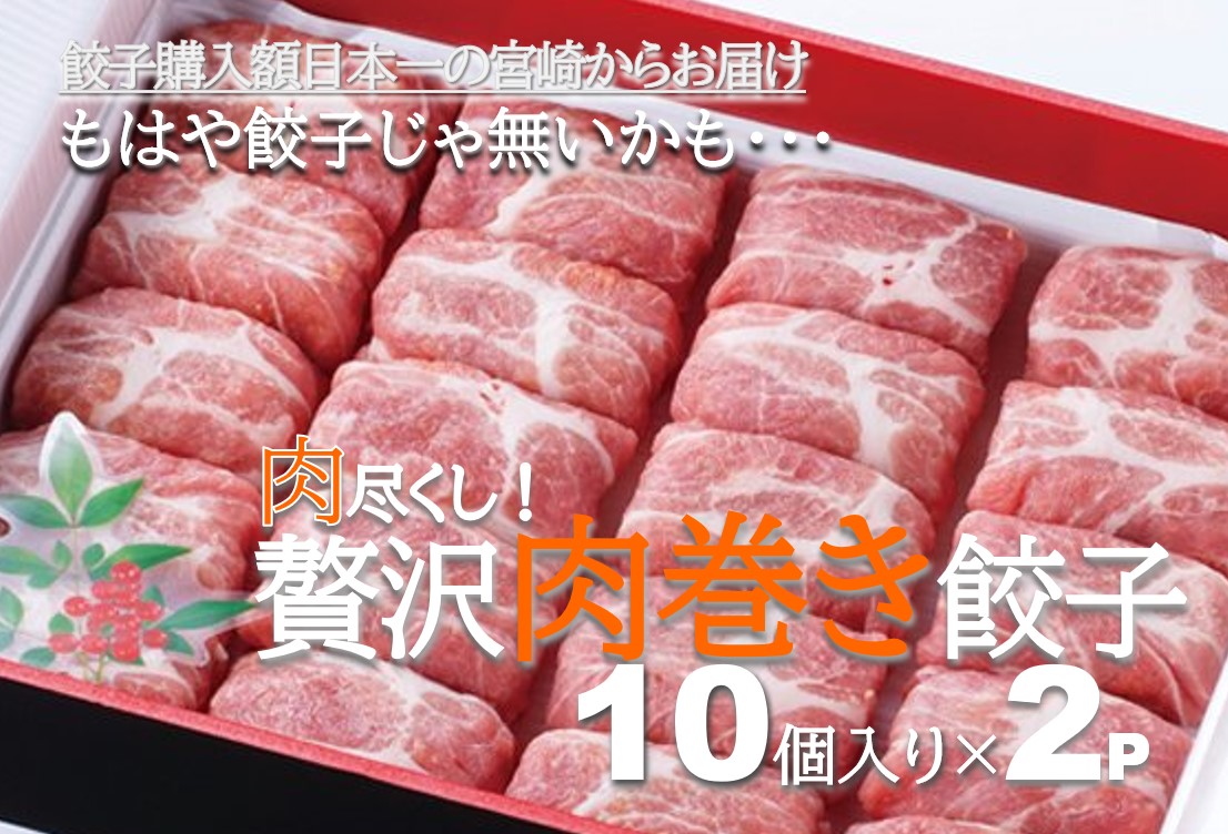 【餃子 ハンバーグ】宮崎県産ポークで包んだ肉巻きハンバーグ餃子 10個×２Pセット