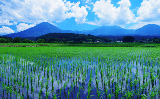 【今期新米！】 【定期便：全6回】湧水で育った山麓の特別栽培米ヒノヒカリ（2等級以上）16kg×6回