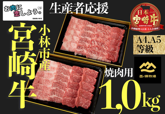 【生産者支援】A４等級以上小林市産宮崎牛おためし焼肉　1.0kg