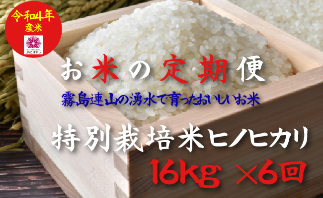 【令和4年産米】 【定期便：全6回】湧水で育った山麓の特別栽培米ヒノヒカリ（2等級以上）16kg×6回