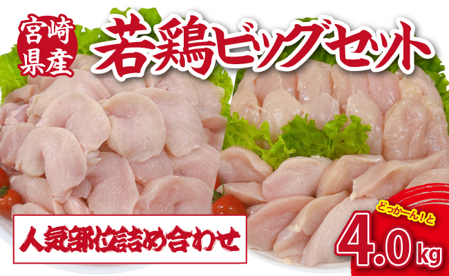 【人気部位詰め合わせ】宮崎県産若鶏4kgビッグセット