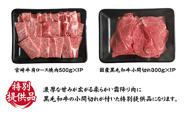 【特別提供品】宮崎牛霜降り肩ロース焼肉と黒毛和牛小間切れセット
