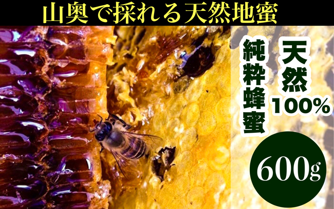【山奥で採れる天然地蜜】天然100％純粋蜂蜜 600g 