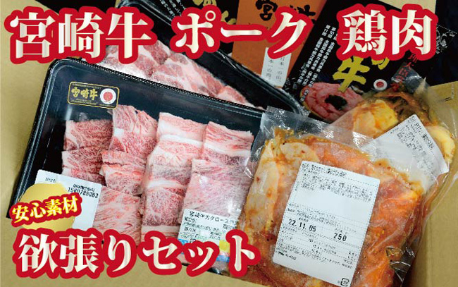 【安心素材の宮崎を食べつくそう！】宮崎牛、宮崎ポーク、鶏肉の欲張りセット
