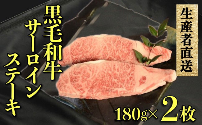 【C027・生産者直送】黒毛和牛赤身サーロインステーキ　2枚セット