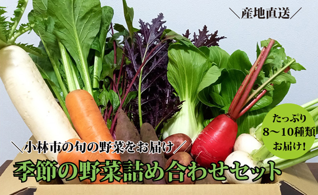 【自然が育む新鮮野菜】こばやし季節の野菜詰め合わせセット